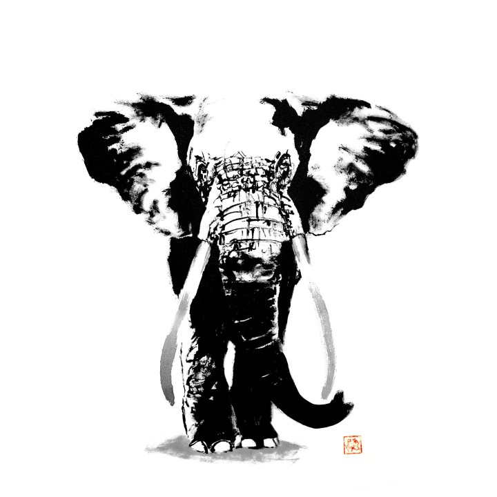 elephant