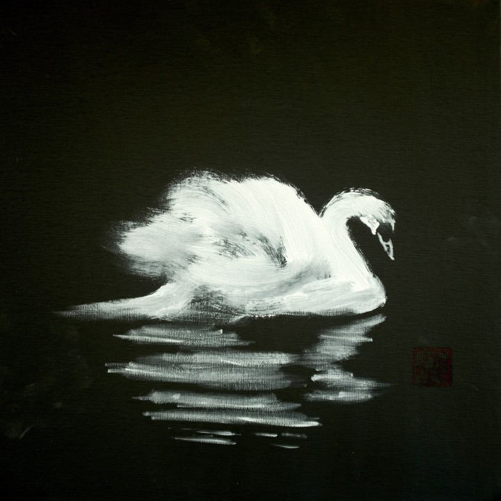 swan