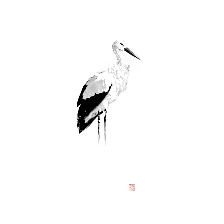 big storke