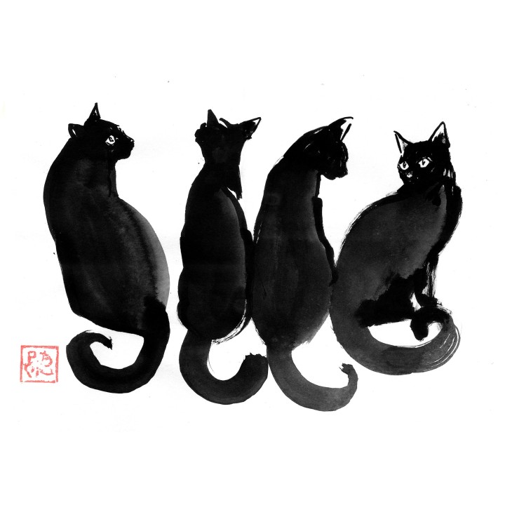 4 black cats