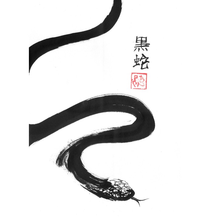 black snake kanji