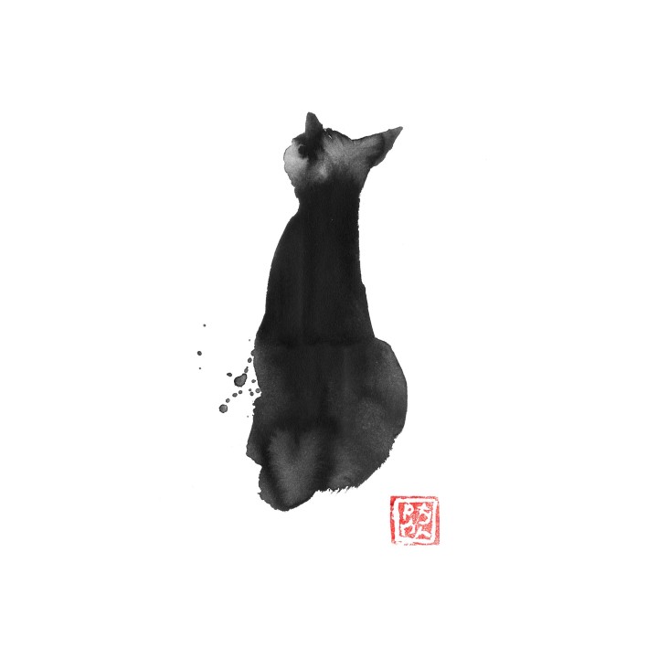 cat shadow 02