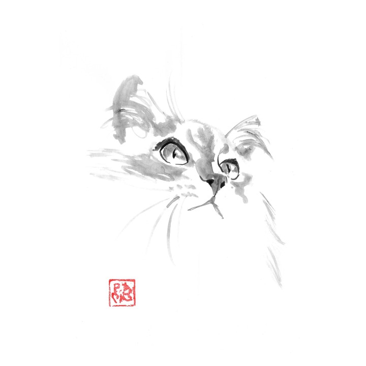 cute cat face