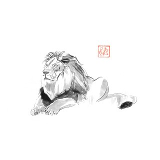 lion