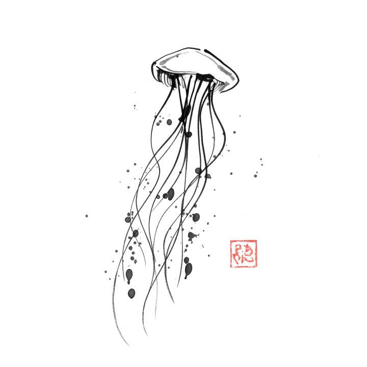 jellyfish