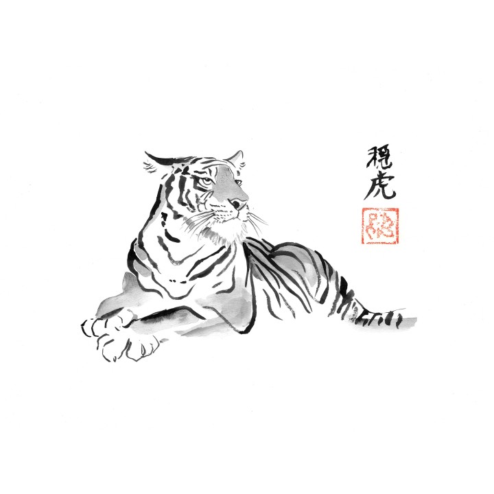 calm tiger