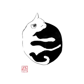 ying yang cat