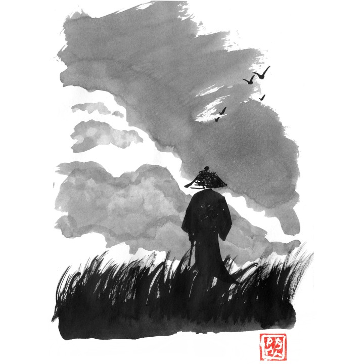 samurai in the prairy