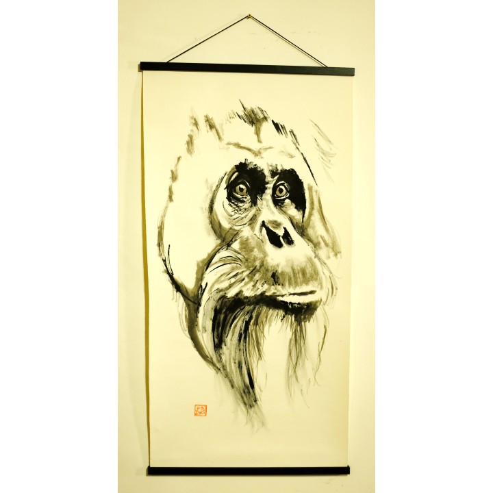 Orangutan