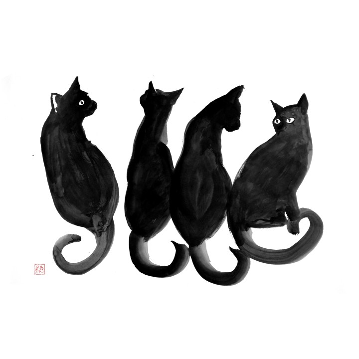 4 black cats