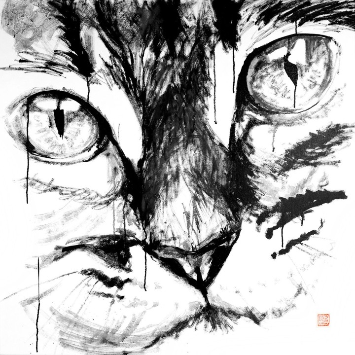 cat face