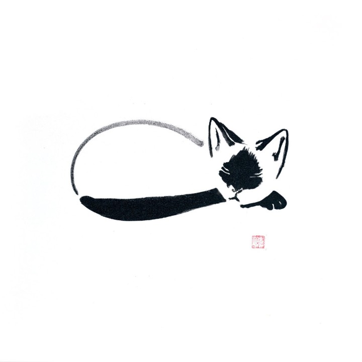 sleeping siamese cat