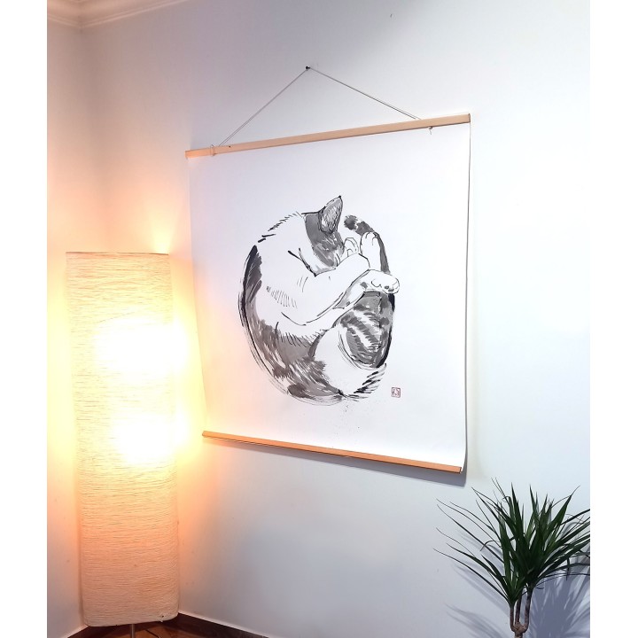 round cat