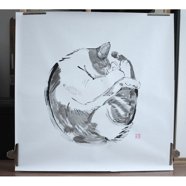 round cat
