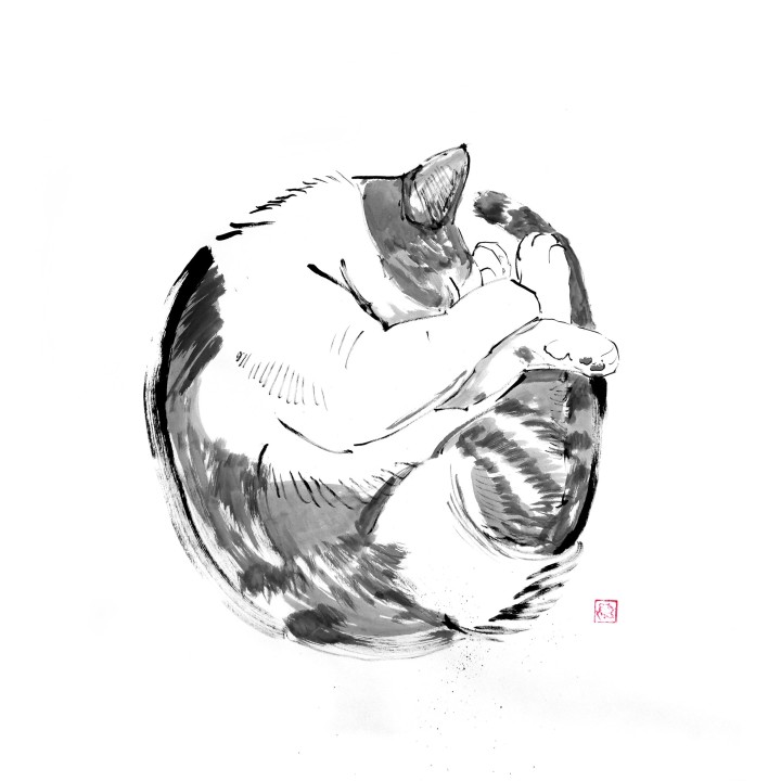 round cat