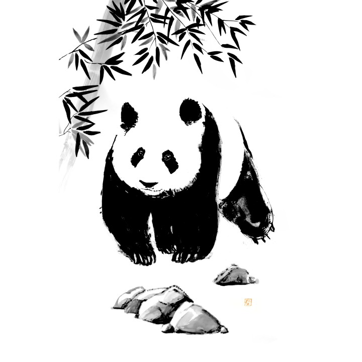 the panda walking in the forest
